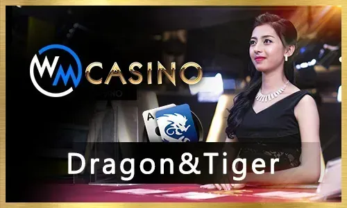 Exciting Sports Betting